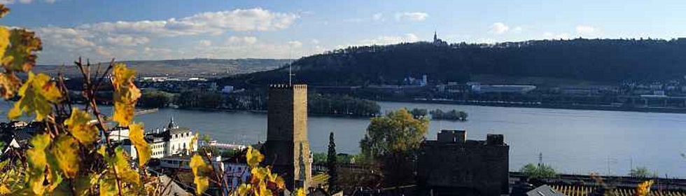 ruedesheim